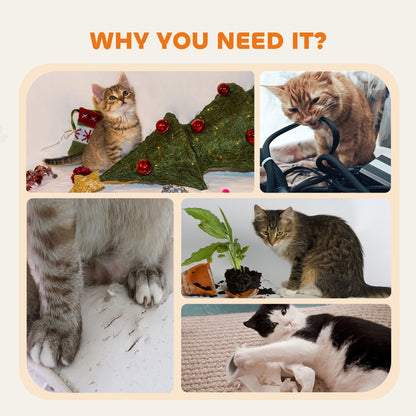 Tour à chat compacte avec perchoir et maison