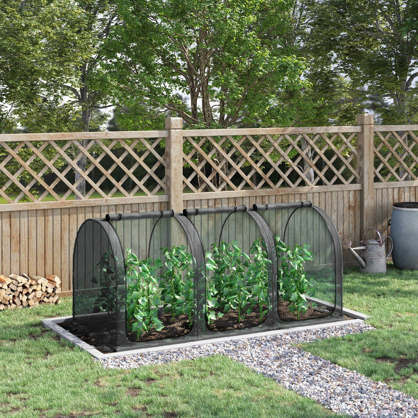 Cage de protection végétaux 8' x 4'