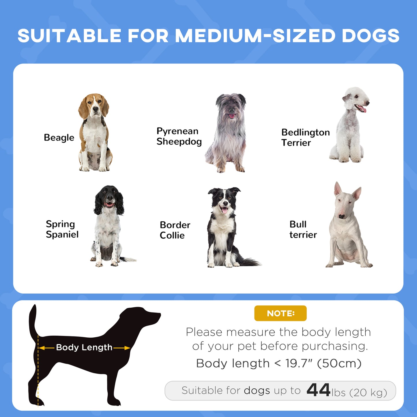 Lit surélevé pour chien avec auvent — moyen