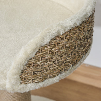 Arbre à chat compact avec poteau en sisal et jouet