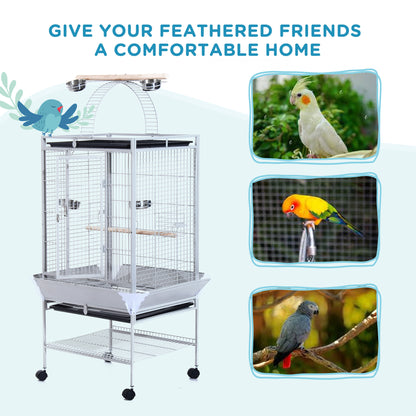 Grande volière pour oiseaux avec aire de jeux