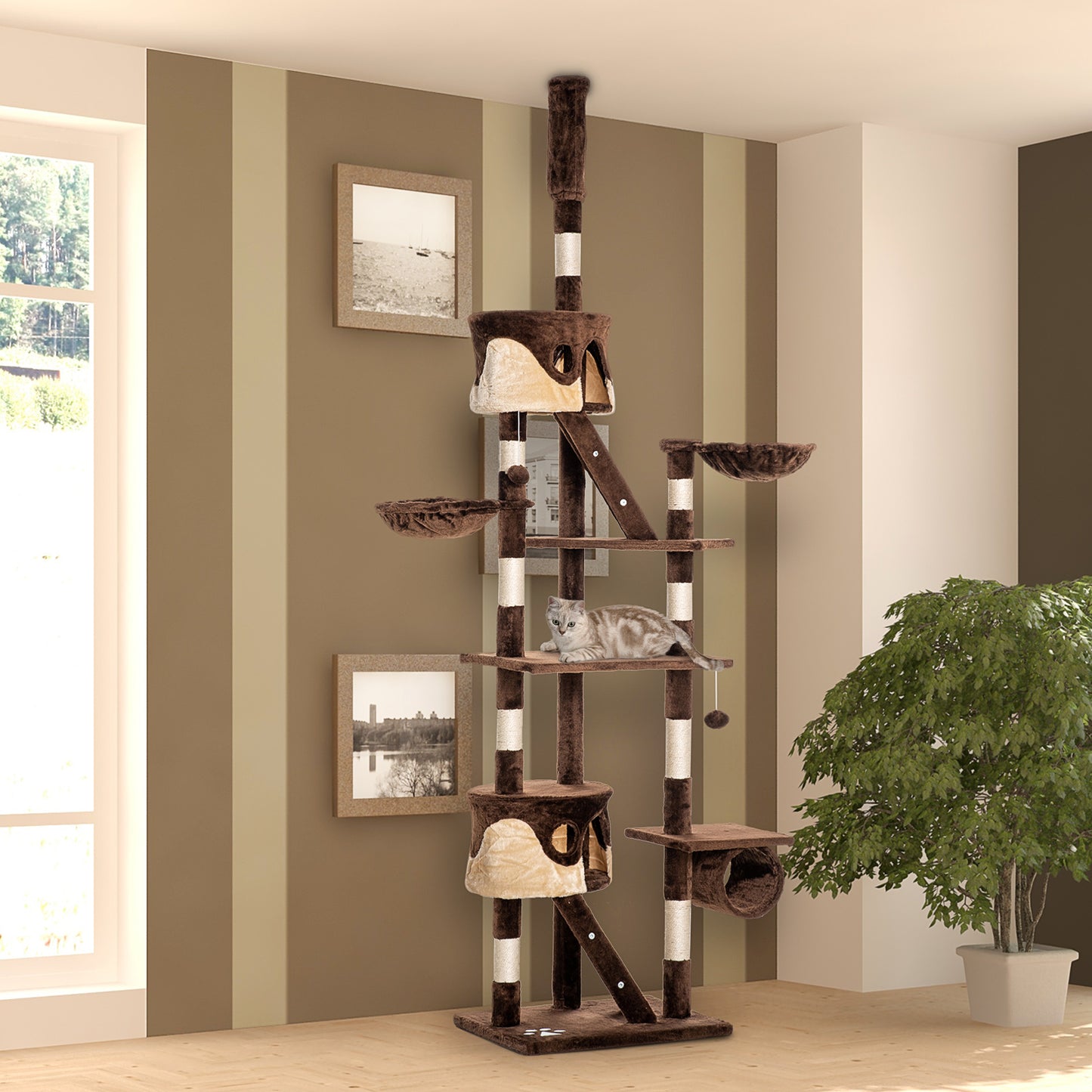 Arbre à chat multi-niveaux ajustable 240-260 cm