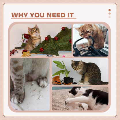 Arbre à chat multiétage avec condo et griffoirs en sisal