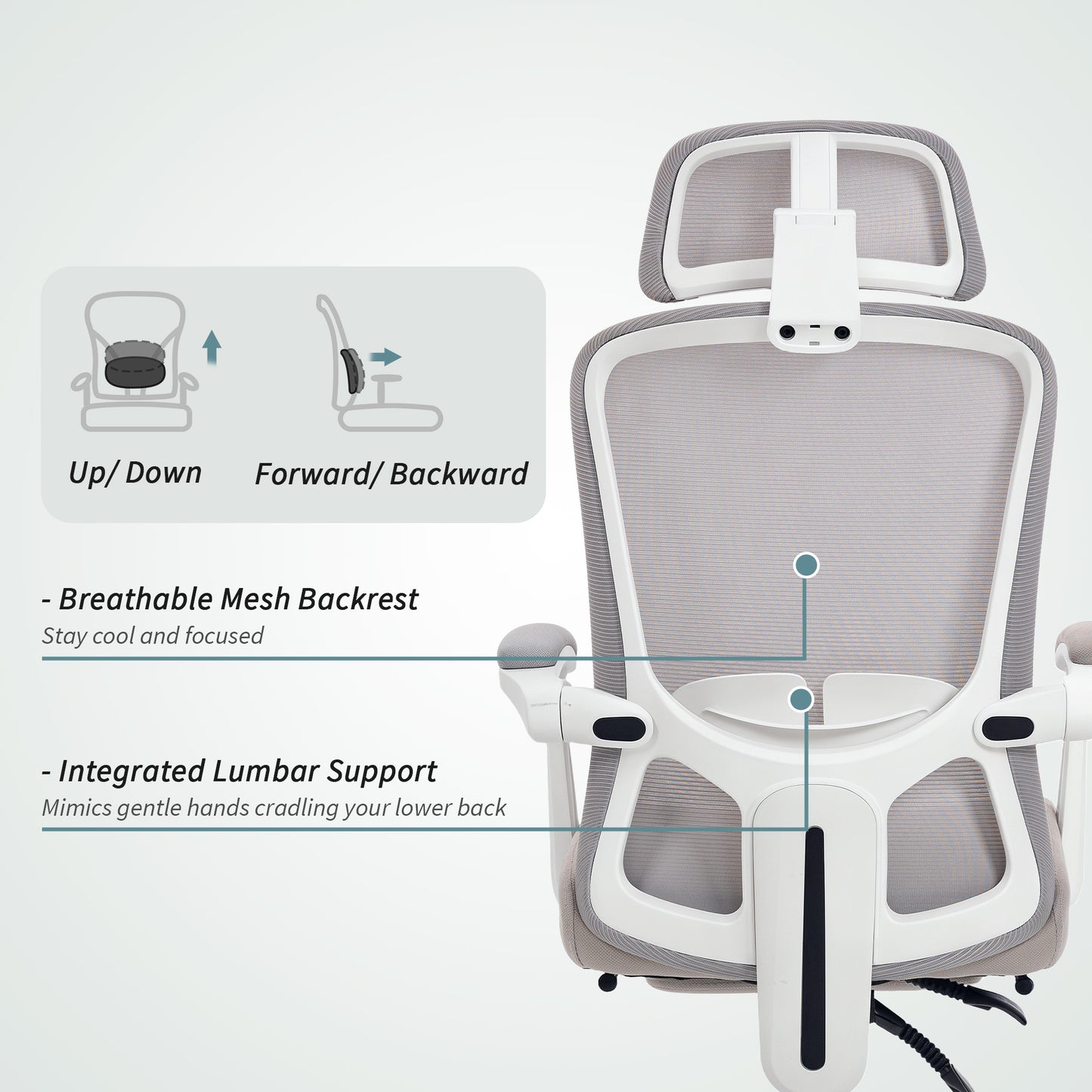 Chaise de bureau ergonomique avec support lombaire ajustable et appui-tête