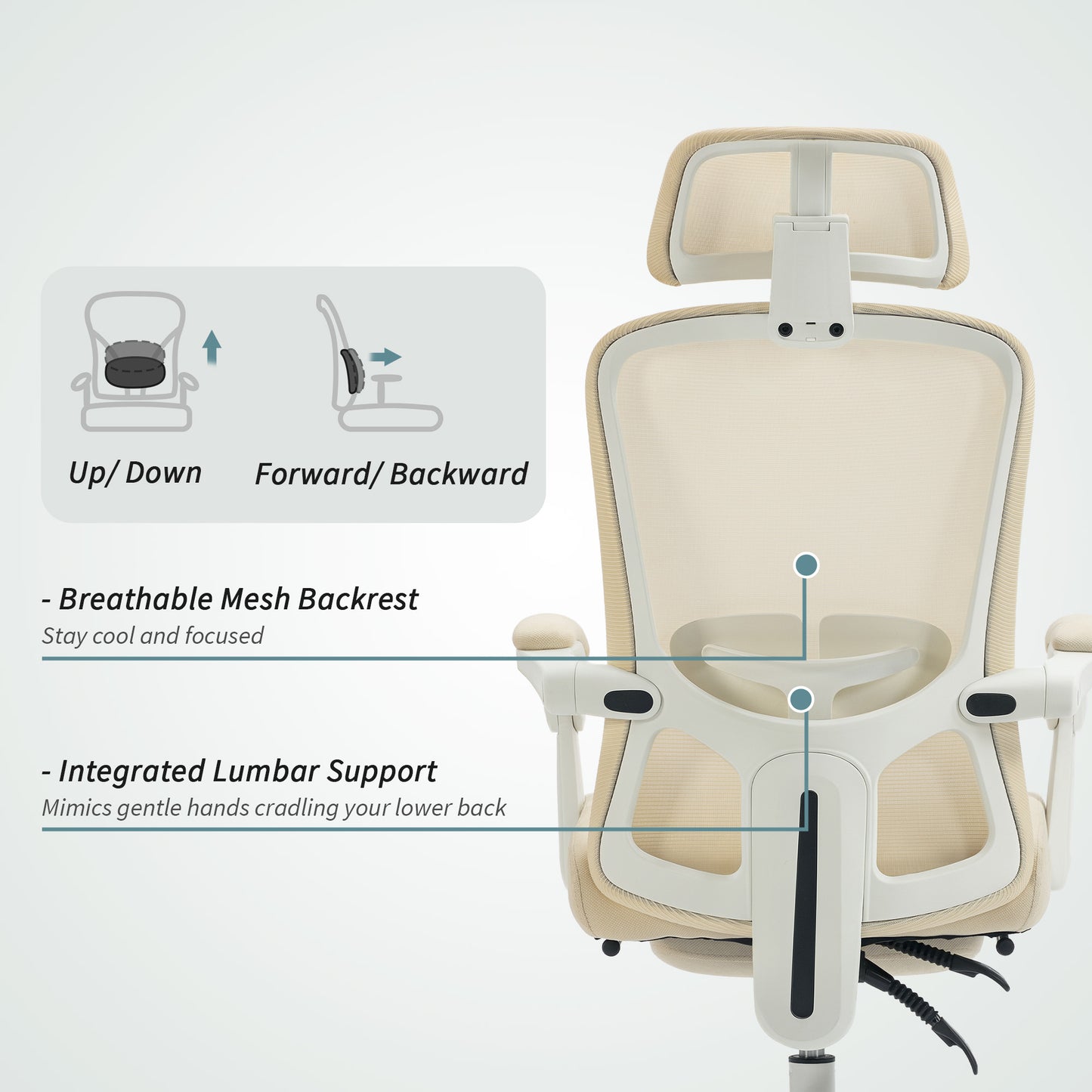 Chaise de bureau ergonomique avec support lombaire ajustable et appui-tête