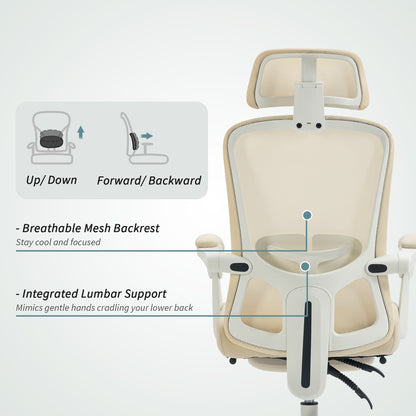 Chaise de bureau ergonomique avec support lombaire ajustable et appui-tête