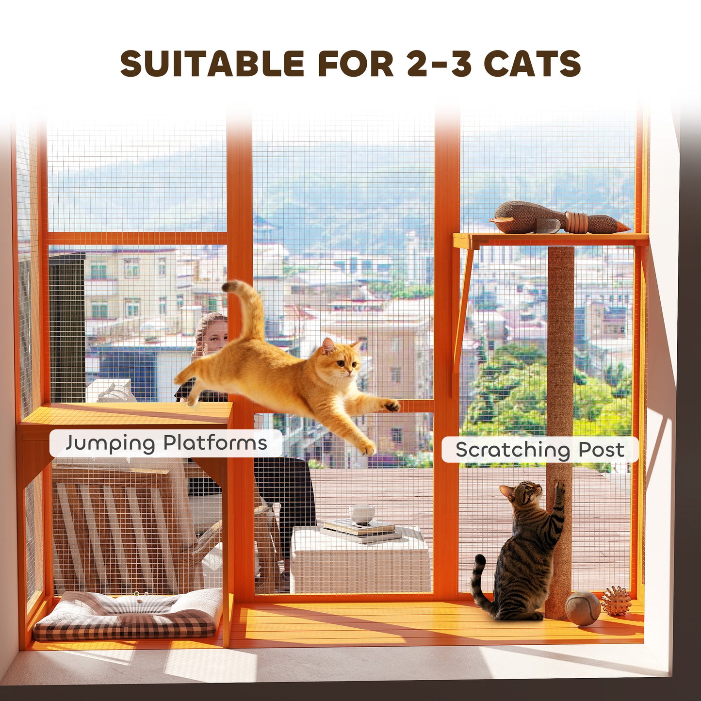 Enclos extérieur pour chats 3 niveaux avec plateformes