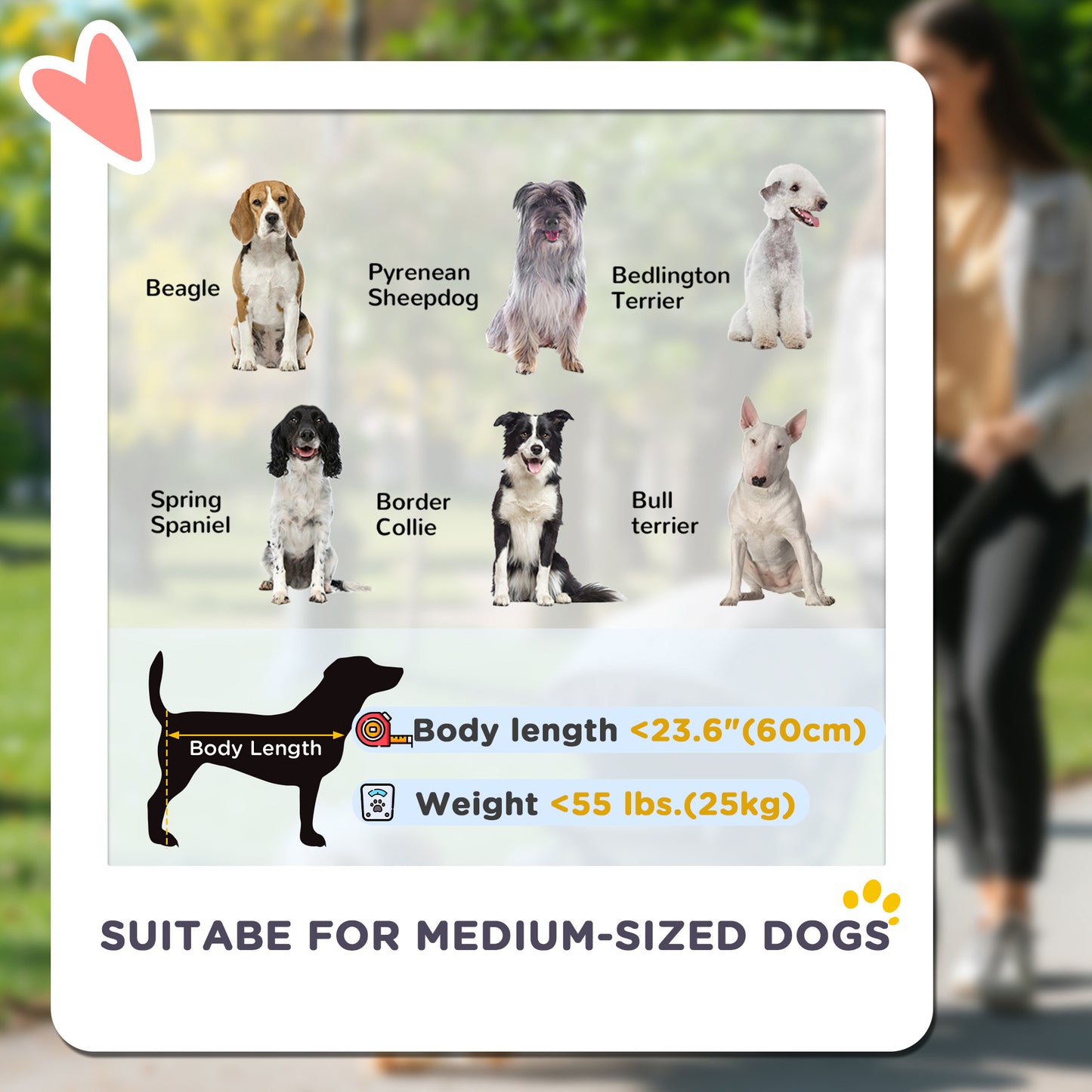 Poussette pliable pour grands chiens avec roues amortissantes