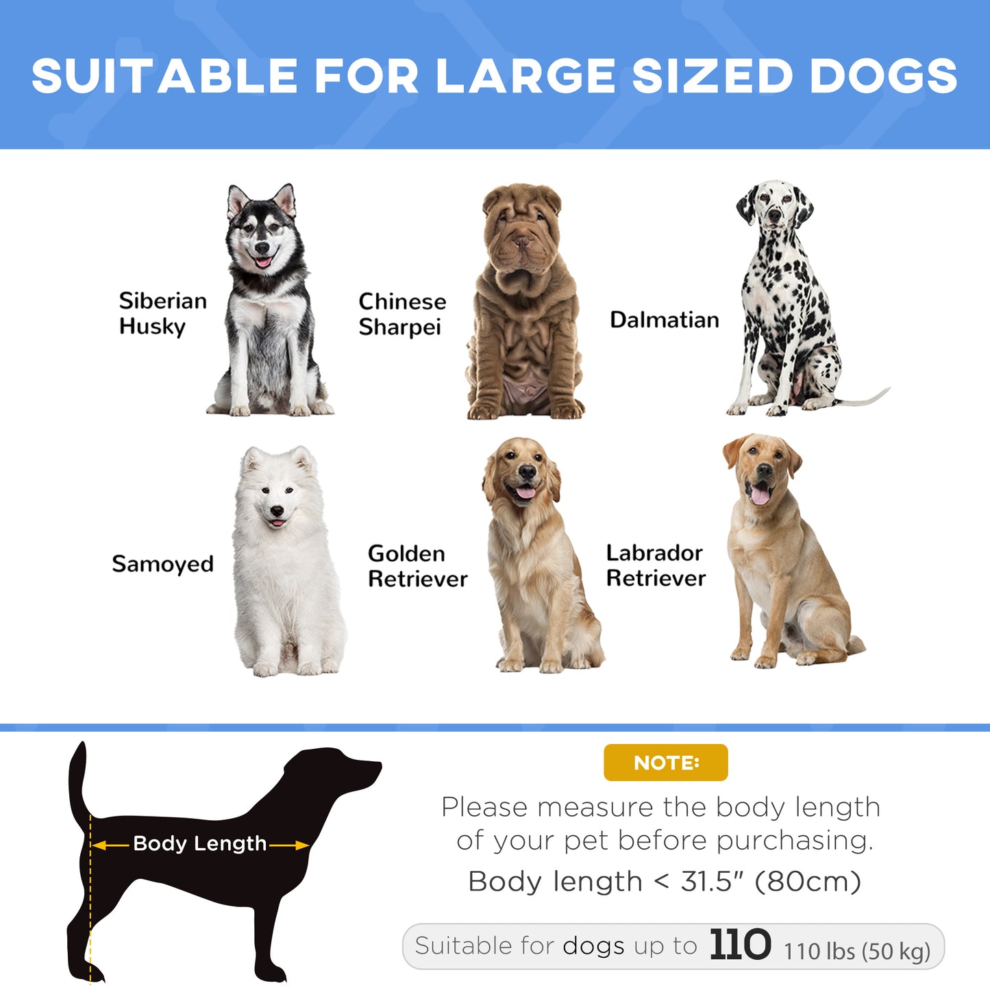 Lit surélevé pour chien grande taille intérieur extérieur