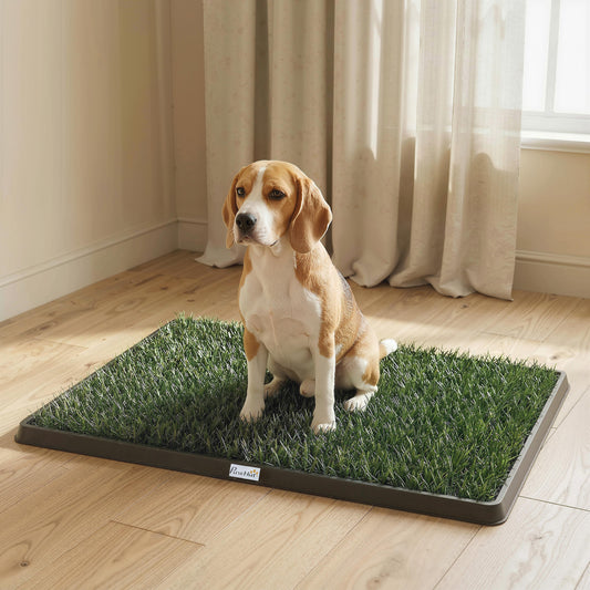 Tapis d'entrainement pour chien avec gazon artificiel et bac