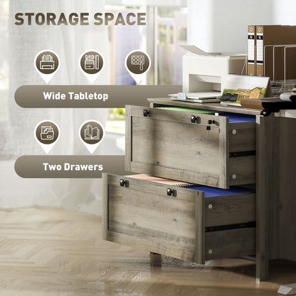 Classeur 2 tiroirs verrouillable avec barre ajustable
