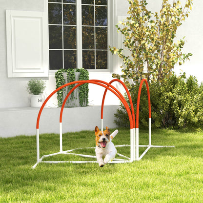 Ensemble d'agilité pour chien — Lot de 4