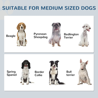 Station d'alimentation chien avec rangement ajustable