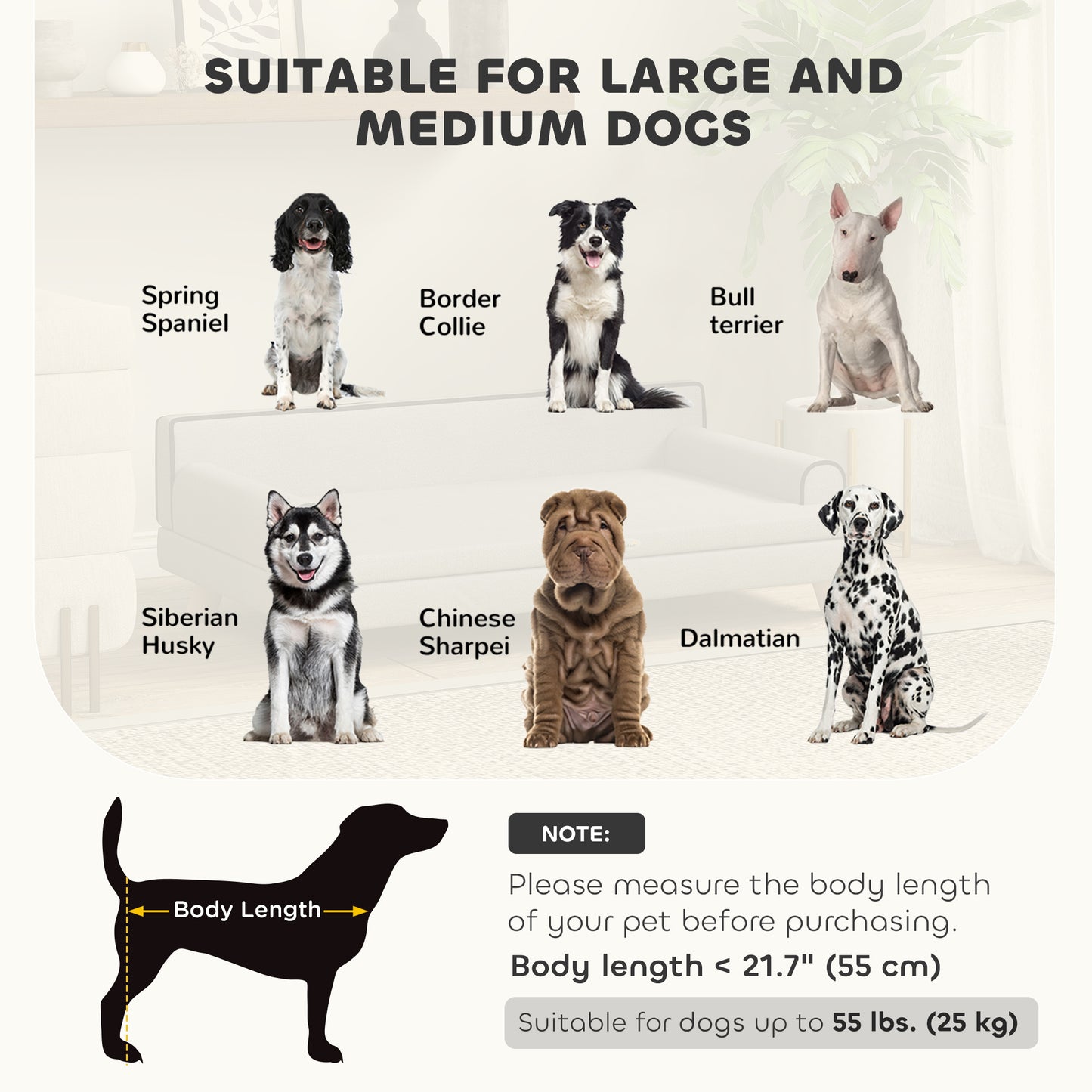 Canapé pour chien surélevé avec coussin lavable