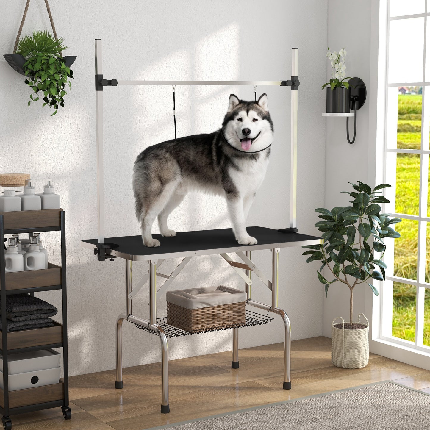 Table de toilettage ajustable pour chiens avec sangles sécurité