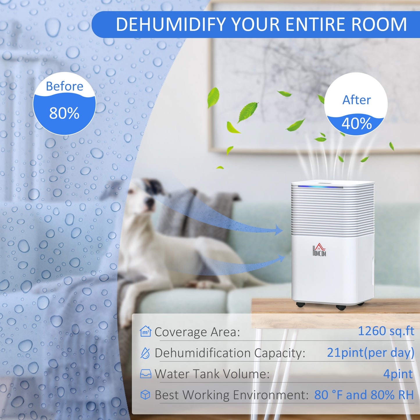 Déshumidificateur portatif 3 modes minuterie 24h