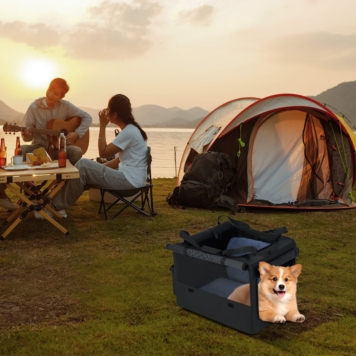 Sac de transport pliable pour animaux