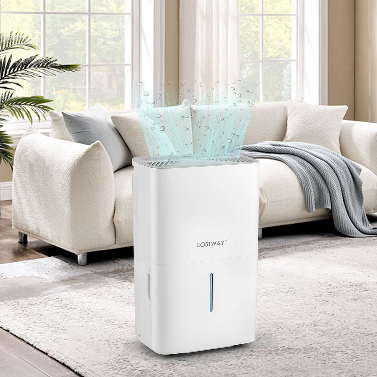 Déshumidificateur 71 L avec minuterie et affichage DEL