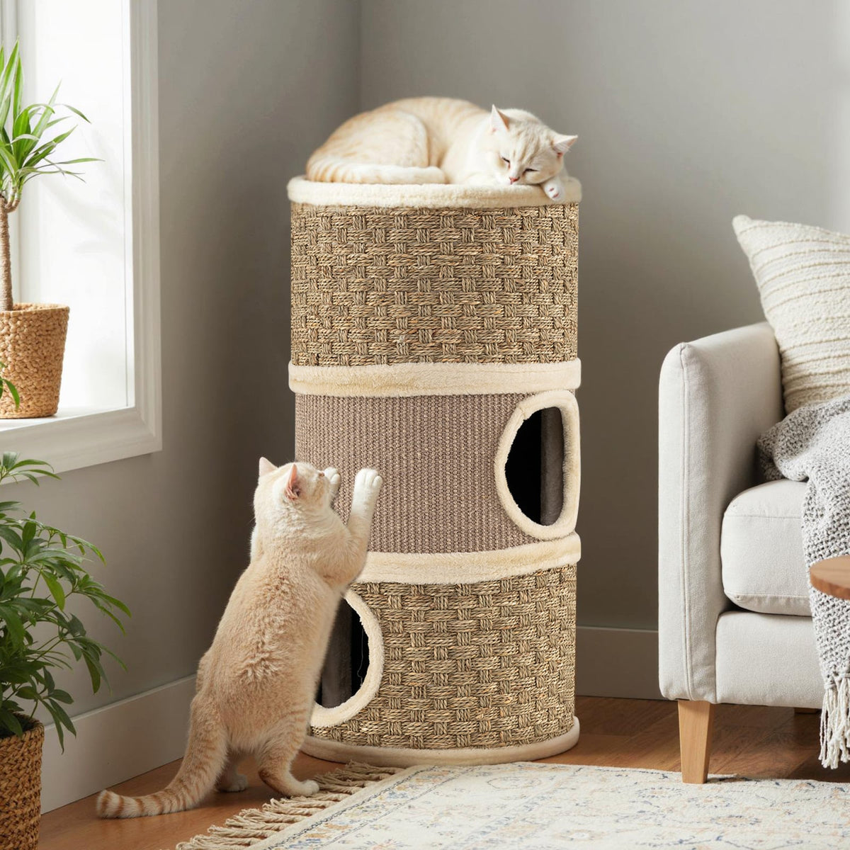 Condo pour chat 3 étages avec griffoir en sisal 71 cm