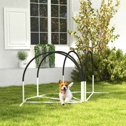 Ensemble d'agilité pour chien — Lot de 4
