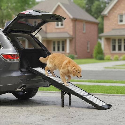 Rampe de voiture pliable pour chien