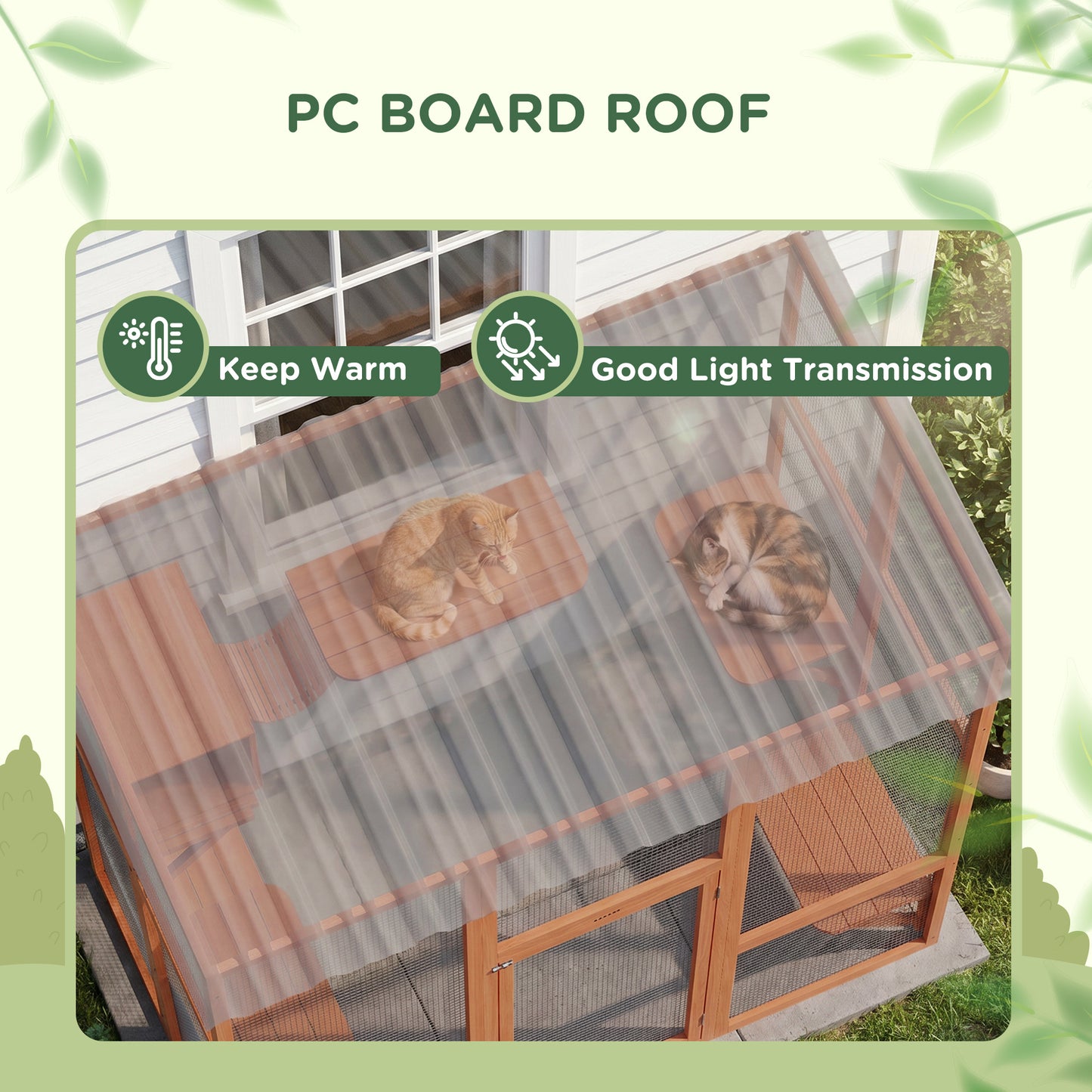 Enclos extérieur chat multi-niveaux avec toit transparent