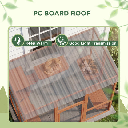 Enclos extérieur chat multi-niveaux avec toit transparent