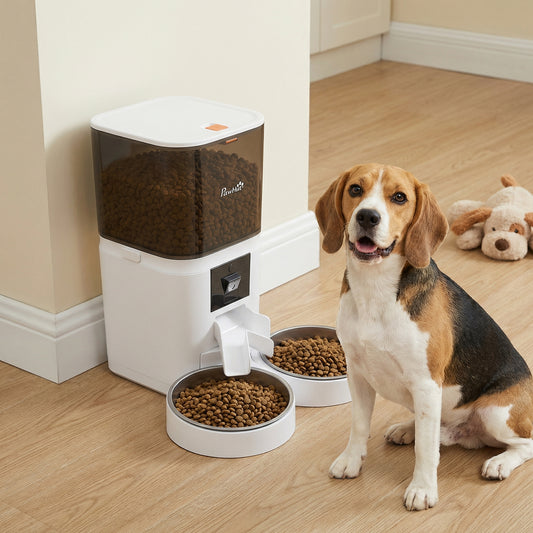 Distributeur automatique chat double caméra HD 6L