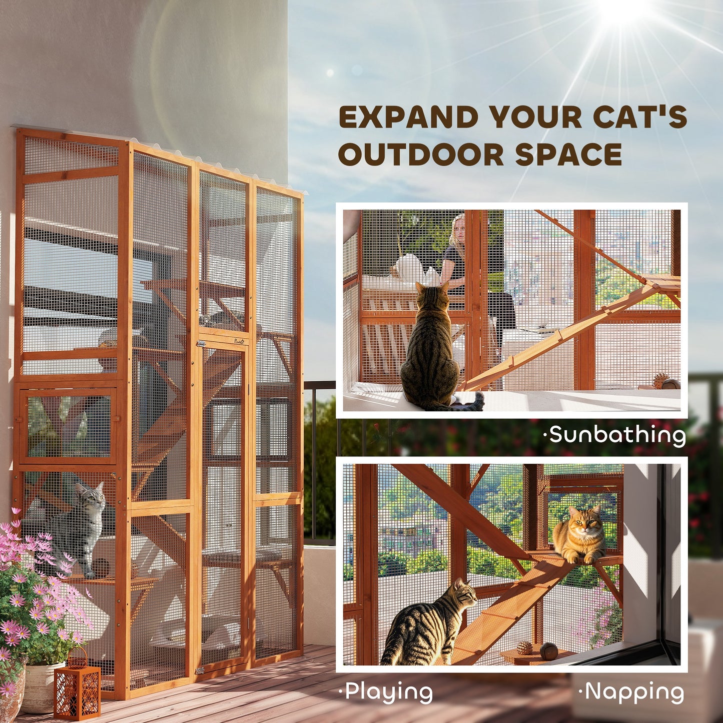 Enclos extérieur pour chat avec 6 plateformes de saut