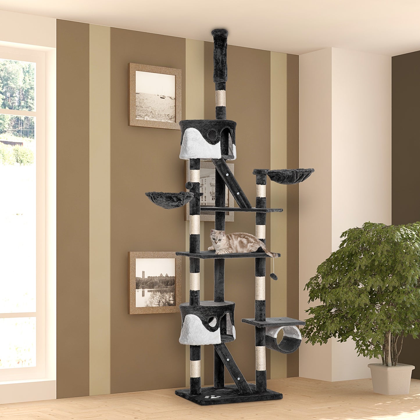 Arbre à chat multi-niveaux ajustable 240-260 cm