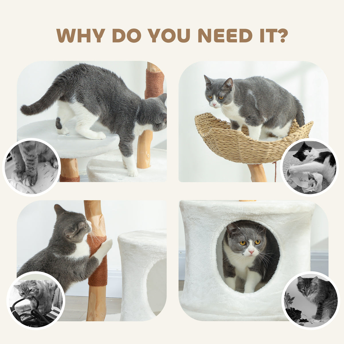 Arbre à chat 101 cm stabilisé avec griffoir sisal