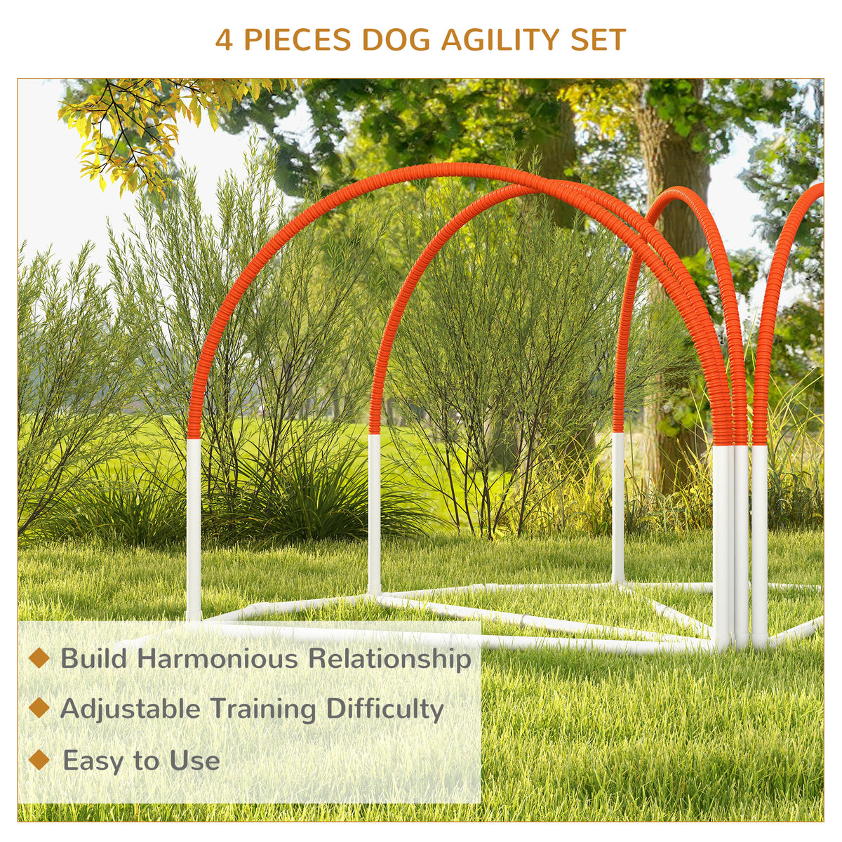 Ensemble d'agilité pour chien — Lot de 4