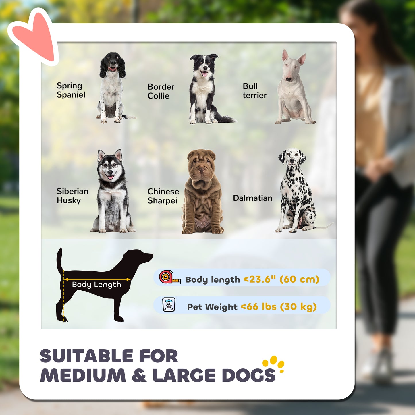 Poussette pliable pour animaux roues universelles amortisseurs