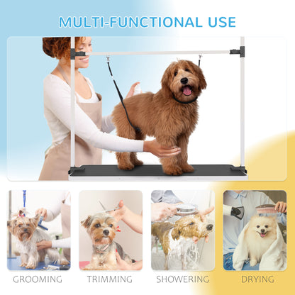 Table de toilettage ajustable pour chiens avec sangles sécurité