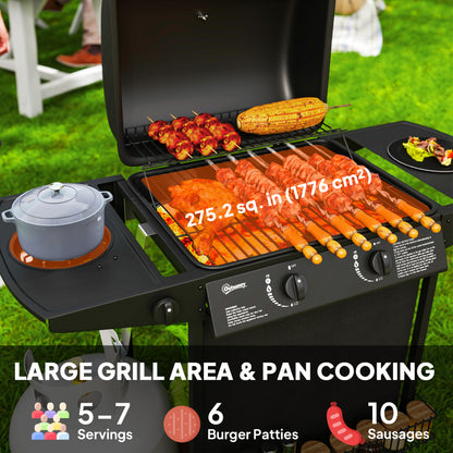 BBQ au propane portable avec brûleur latéral