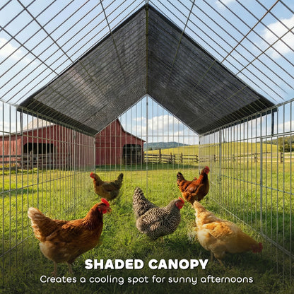 Enclos métallique pour poules avec couverture UV