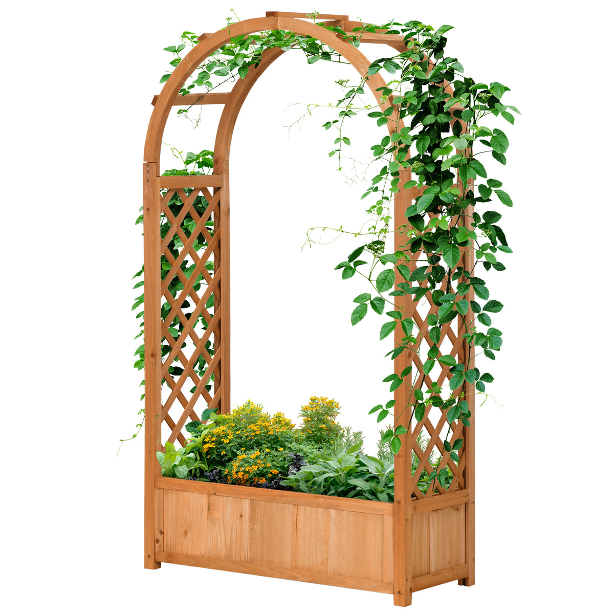 Jardinière surélevée avec treillage en arche